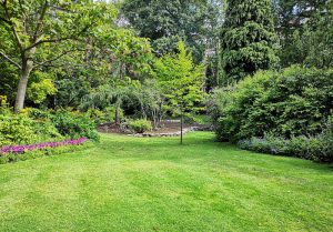 Optimiser l'expérience du jardin à Escrennes