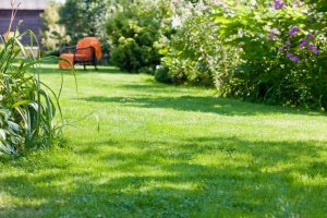 travaux jardin et paysage Escrennes